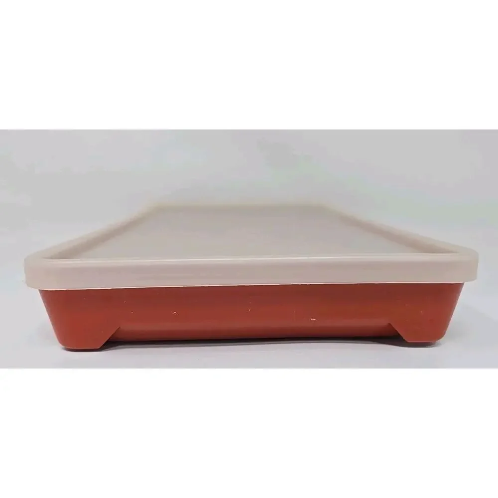 Tupperware 1292-1 Bacon Hot‎ Dog Cold Cut Lunch Meat Keeper Food Storage Vintage